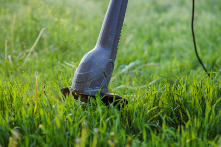 Close-up of a lawn trimmer in the process of work. The working part of the trimmer cutting green...