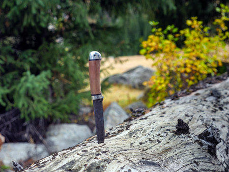 A hunting knife embedded in a fallen tree. Survival in the wilderness. Hiking equipmentの写真素材