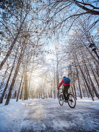 A man rides a bicycle in a winter park in the early morning. The cyclist is wearing a red jacket, helmet, with a backpack. Rear viewの写真素材