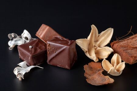 Composition of natural chocolates on a dark background.