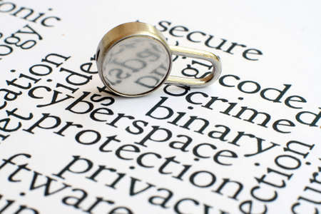 Web security