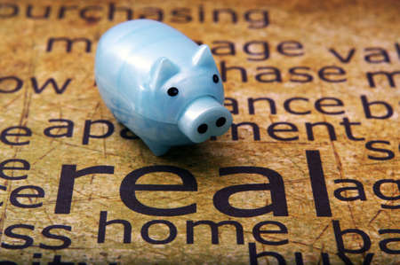 Piggy bank and home conceptの写真素材