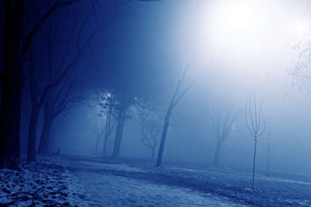 Foggy night