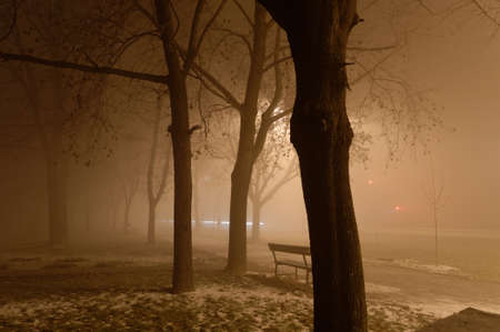 Foggy nightの写真素材