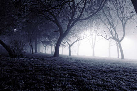 Foggy night