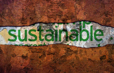 Sustainable text ongrunge background
