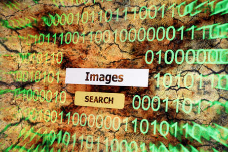 Search for imagesの写真素材