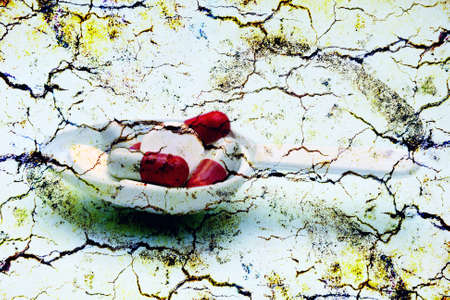 Pills on spoonの写真素材