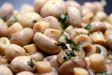 Mushroomsの写真素材