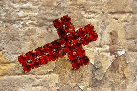 Red cross on grunge backgroundの写真素材