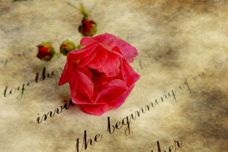 Love letterの写真素材