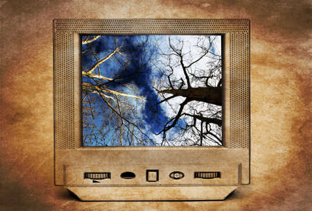 Trees and blue sky on TVの写真素材