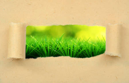Closeup of a torn  paper  grass backgroundの写真素材