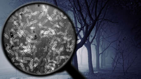 Searching for bacteria in the air