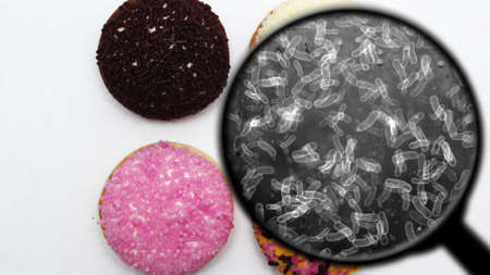 Searching for bacteria in sweets