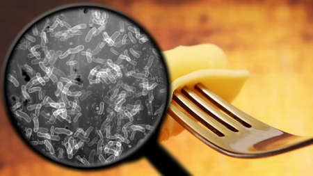 Searching for bacteria in food
