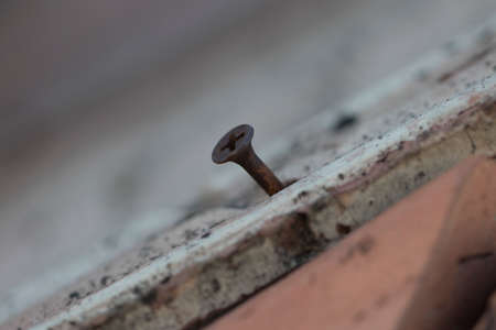 old screw in wallの写真素材