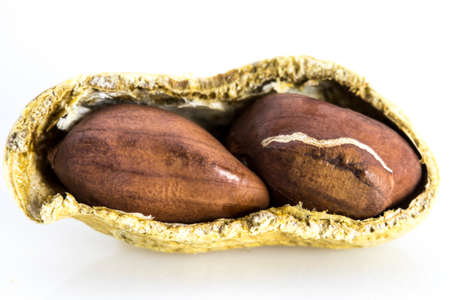 Opened Peanuts on the white background, fracture single peanutの写真素材
