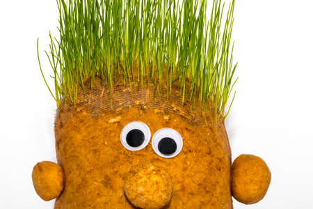 funny toy potatoes with green living hairの写真素材