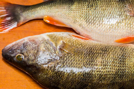 Fresh  perch fish on wooden cutting Board.Fine cuisine.の写真素材