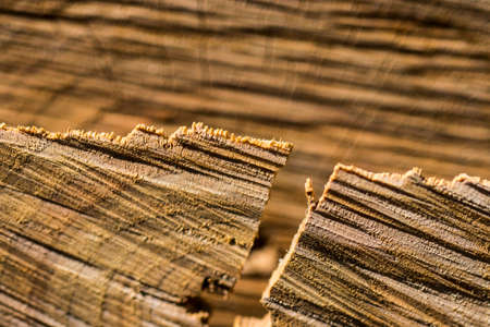 Stylish Wooden background.の写真素材