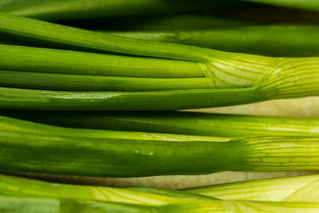 Close up fresh young onion,bunch of fresh shallots,Fresh chives, fresh young onion,green onions feathers heap macro surface texture,Bunches of spring green shallots scallion onions.の写真素材