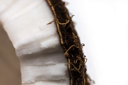 Coconut pieces isolated on a white background.の写真素材