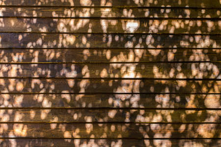 Old natural wooden shabby background close up.の写真素材