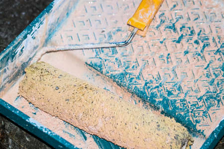The Paint roller and tray with paint