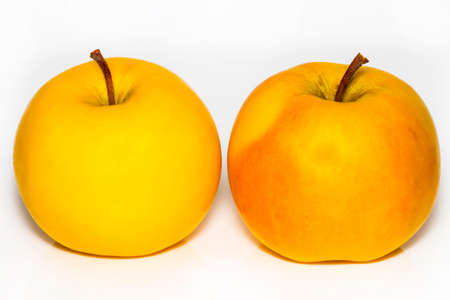 two ripe yellow apple isolated on white background.の写真素材