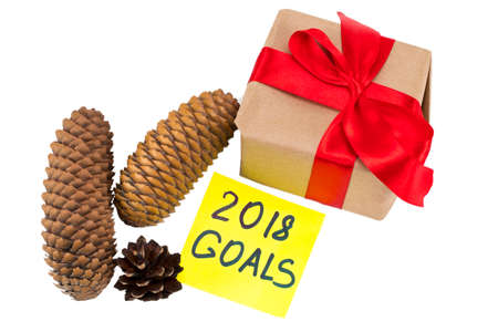 2018 goals - handwriting in black ink on a sticky note with a pine cones and gift , New Year...