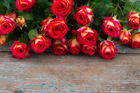  roses on background of wooden planks with space for text. Top view.