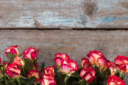  red and yellow roses on wooden background, copy space.の写真素材