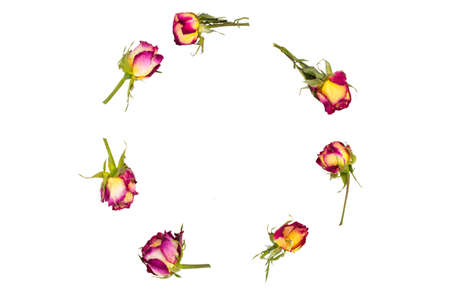 round frame wreath pattern with roses,  flower buds, branches and leaves isolated on white...