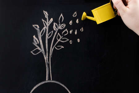 Watering can and  tree drawn on a blackboard concept for business investment, savings and making money.の写真素材