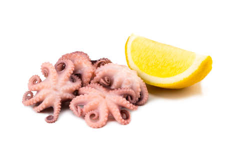 Marinated baby octopus with lemon on white background.の写真素材