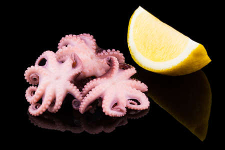 Small octopus with lemon on black background.の写真素材
