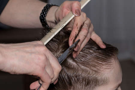 Side view of cute little boy getting haircut by hairdresser at the barbershop using comb and grooming scissors. Closeup.の写真素材