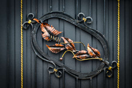 Details, structure and ornaments of forged iron gate. Floral decorative ornament, made from metal. Vintage metallic pattern. Decorative elements as a background.の写真素材
