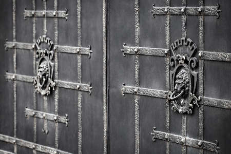 Details, structure and ornaments of forged iron gate. Decorative ornamen with lions , made from metal. Vintage metallic pattern. Decorative elements as a background.の写真素材