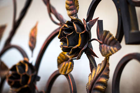 Details, structure and ornaments of forged iron gate. Decorative ornamen with roses, made from...