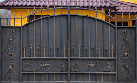  wrought-iron gates, ornamental forging, forged elements close-up.