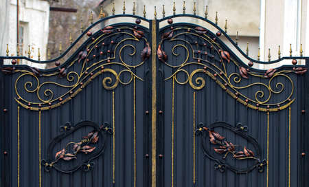  wrought-iron gates, ornamental forging, forged elements close-up.