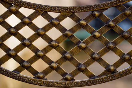 ornate wrought-iron elements of metal gate decoration.