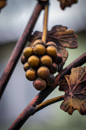 Forged bunch of grapes. ornate wrought-iron elements of metal gate decoration.の写真素材