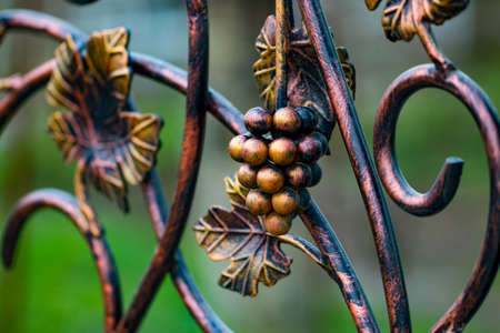 Forged bunch of grapes. ornate wrought-iron elements of metal gate decoration.の写真素材