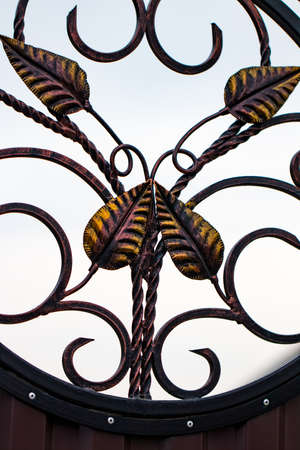 decorative parts of metal gates, elements of hand forging.の写真素材