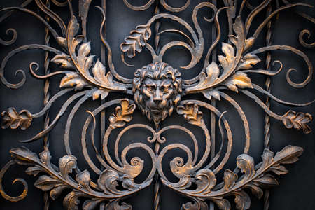 The fragment of forged metal products. lion, close-upの写真素材