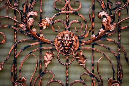 The fragment of forged metal products. lion, close-upの写真素材