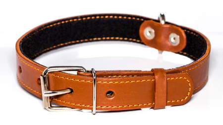 leather dog-collar isolated over the white background, side view.の写真素材